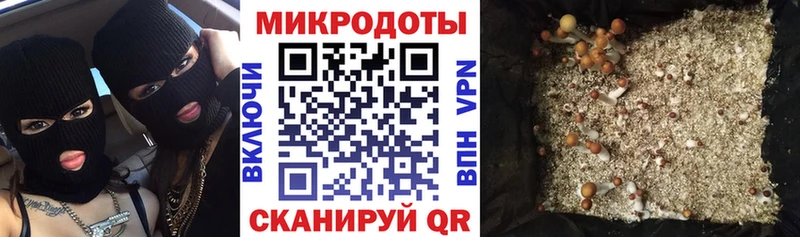 Галлюциногенные грибы GOLDEN TEACHER  сколько стоит  Белебей 